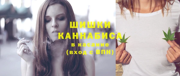 индика Майский