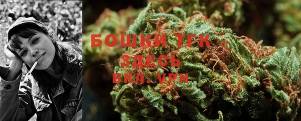 индика Майский