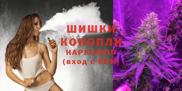индика Майский