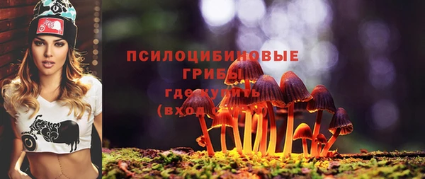 2c-b Магадан
