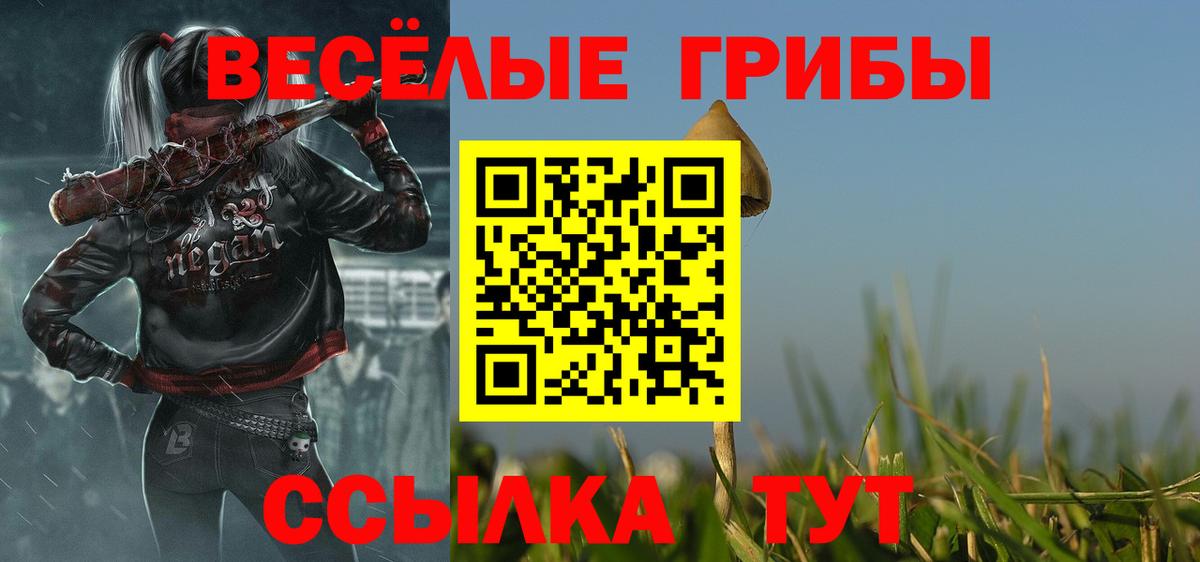 магазин    Еманжелинск  Галлюциногенные грибы мицелий 